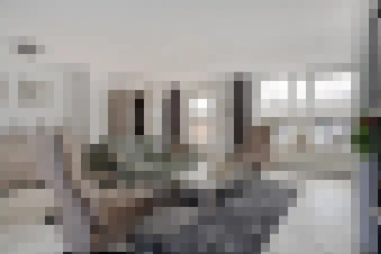 De Malthezer 4 Aarle-Rixtel thumbnail 11
