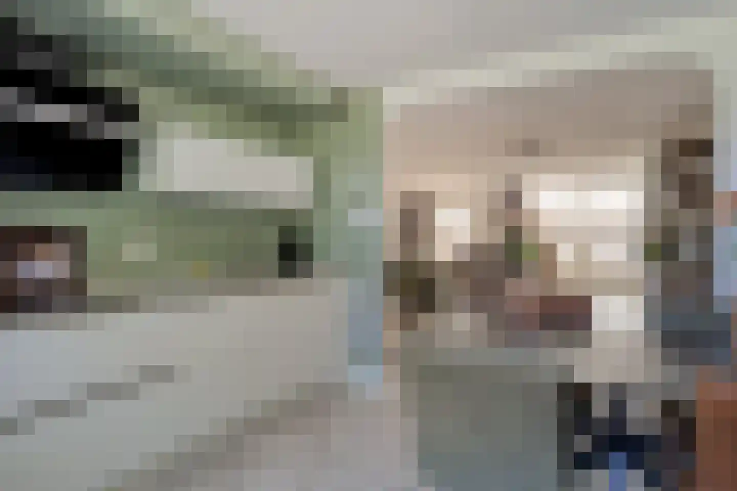 De Malthezer 4 Aarle-Rixtel thumbnail 13