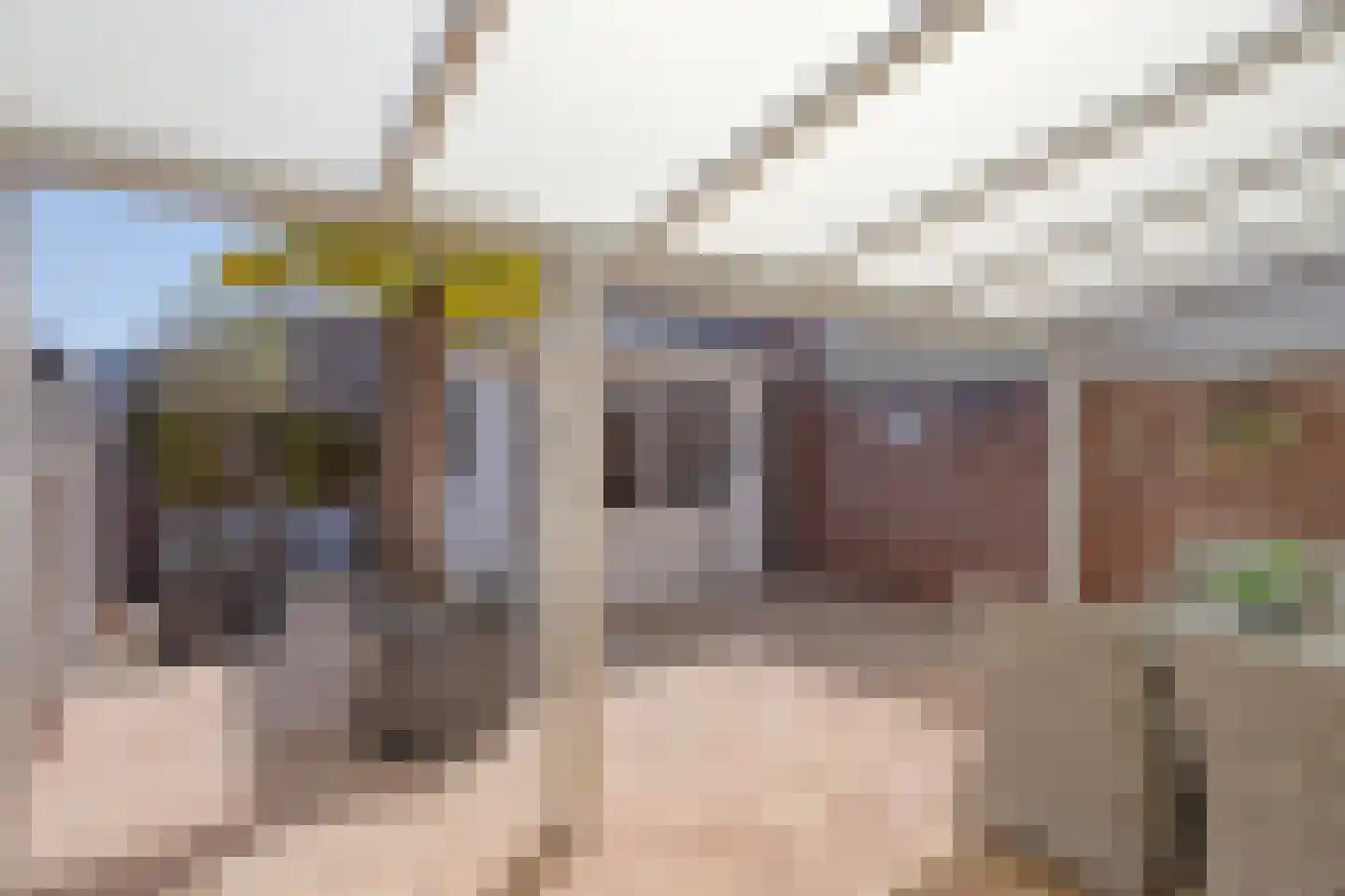 De Malthezer 4 Aarle-Rixtel thumbnail 15