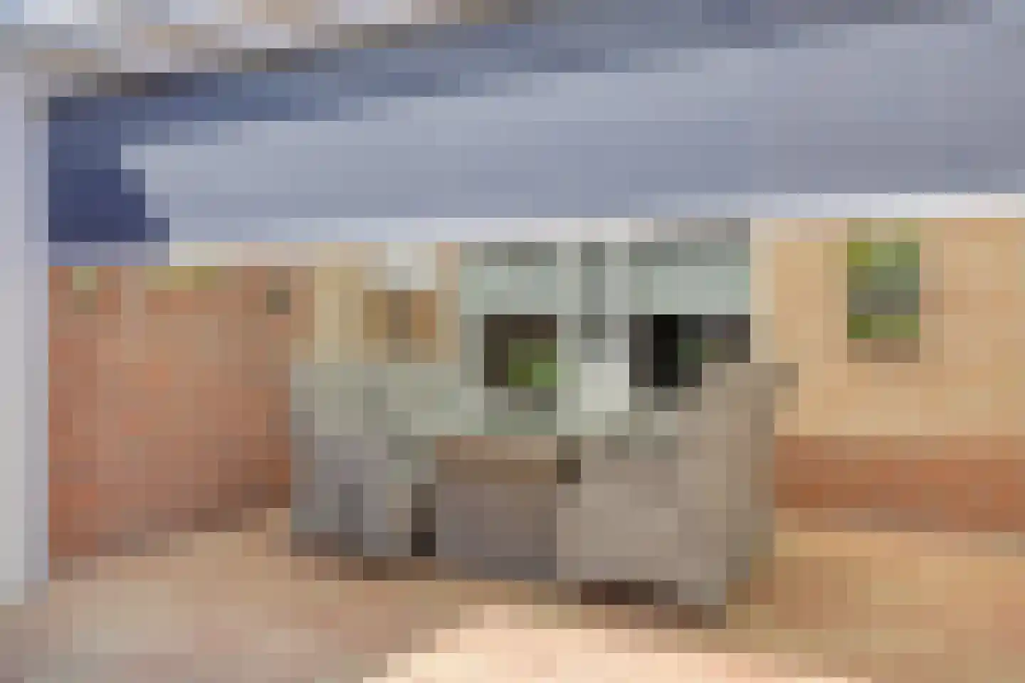 De Malthezer 4 Aarle-Rixtel thumbnail 16