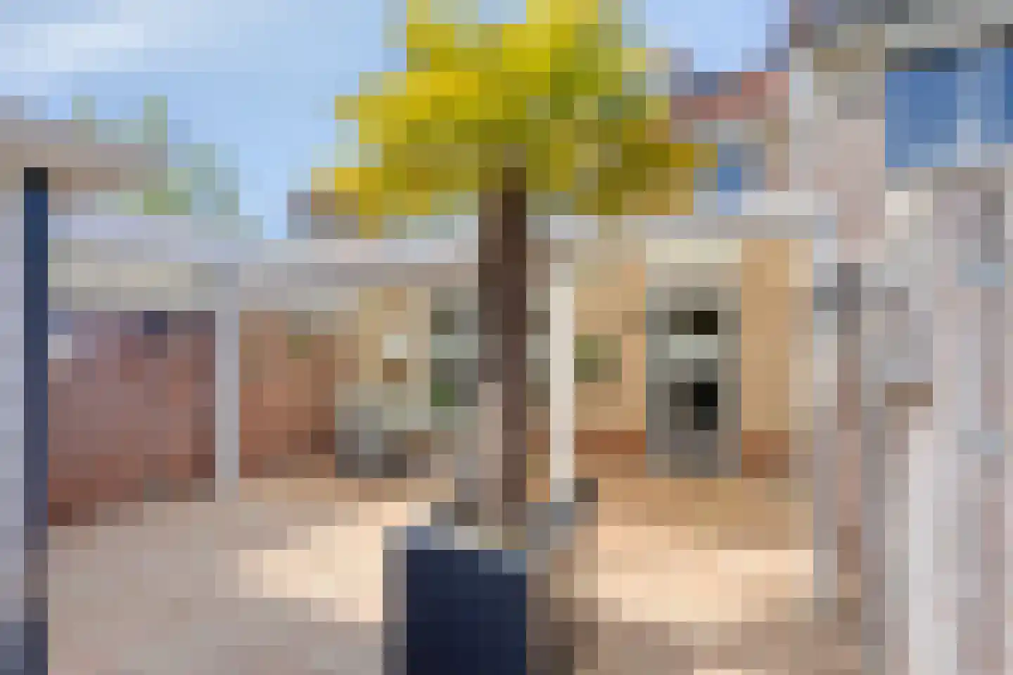 De Malthezer 4 Aarle-Rixtel thumbnail 17