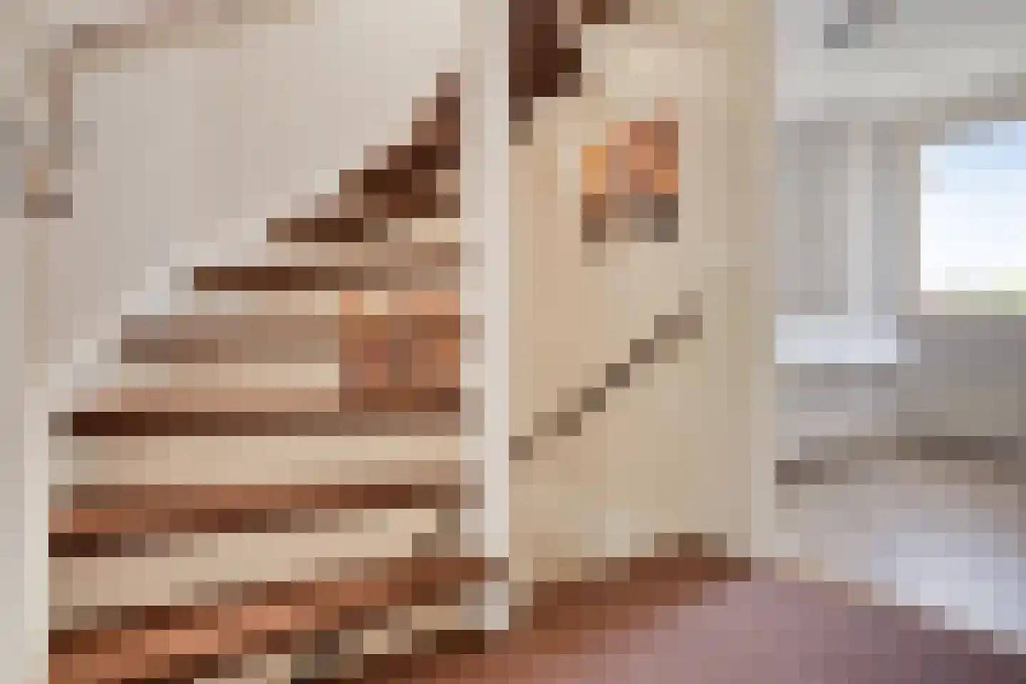 De Malthezer 4 Aarle-Rixtel thumbnail 18
