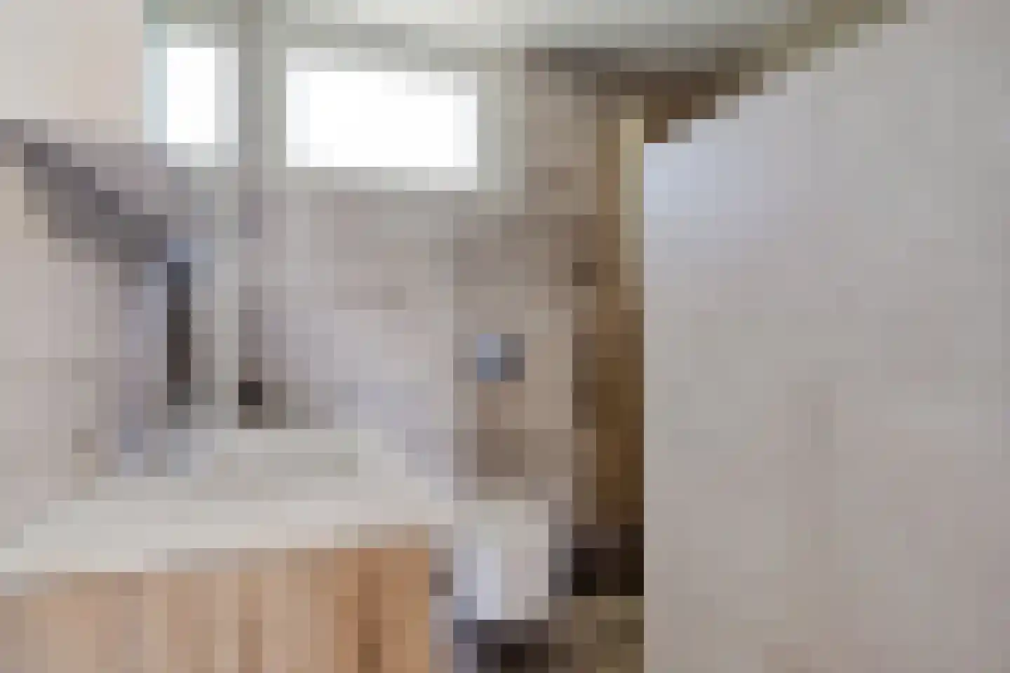 De Malthezer 4 Aarle-Rixtel thumbnail 23