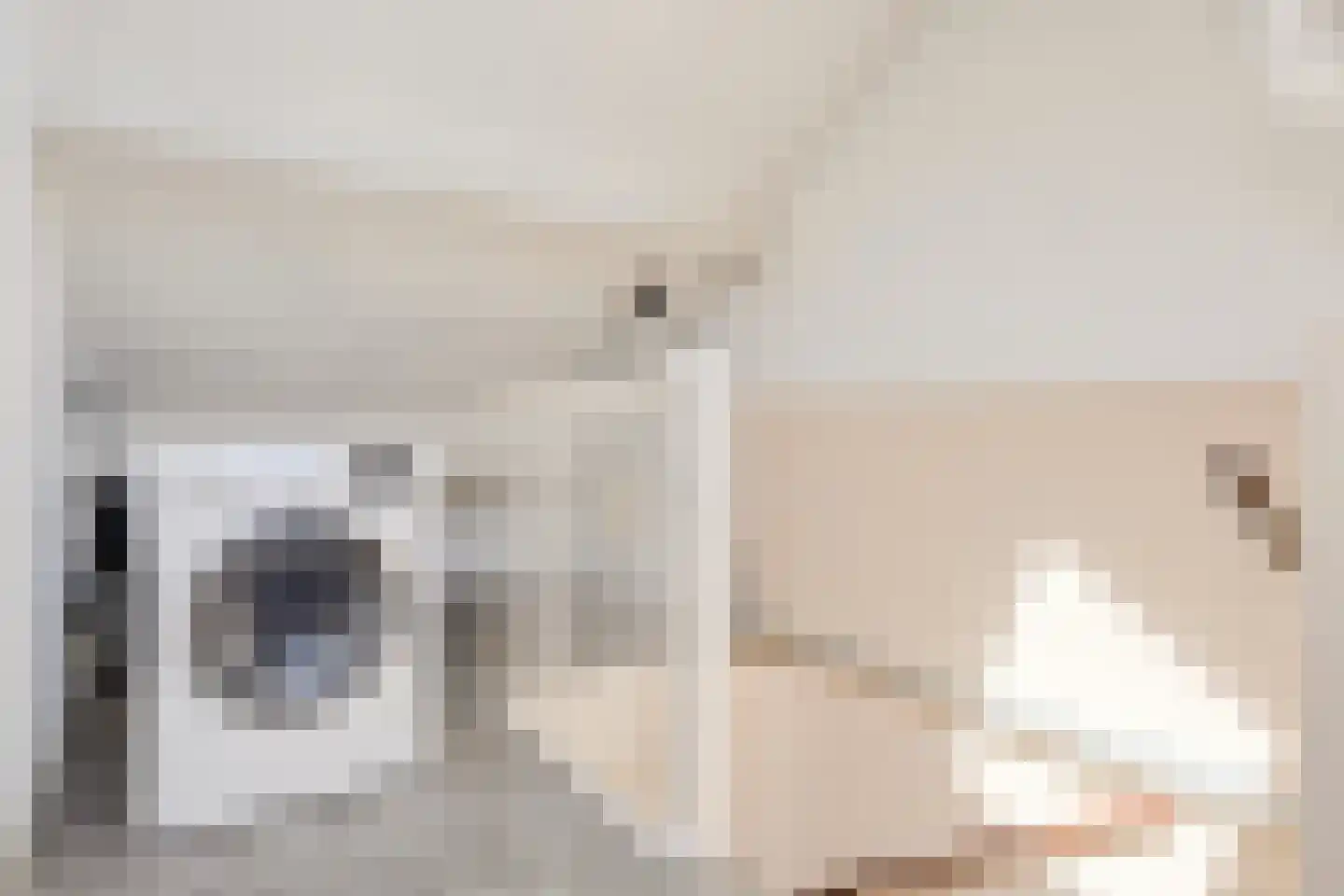 De Malthezer 4 Aarle-Rixtel thumbnail 26
