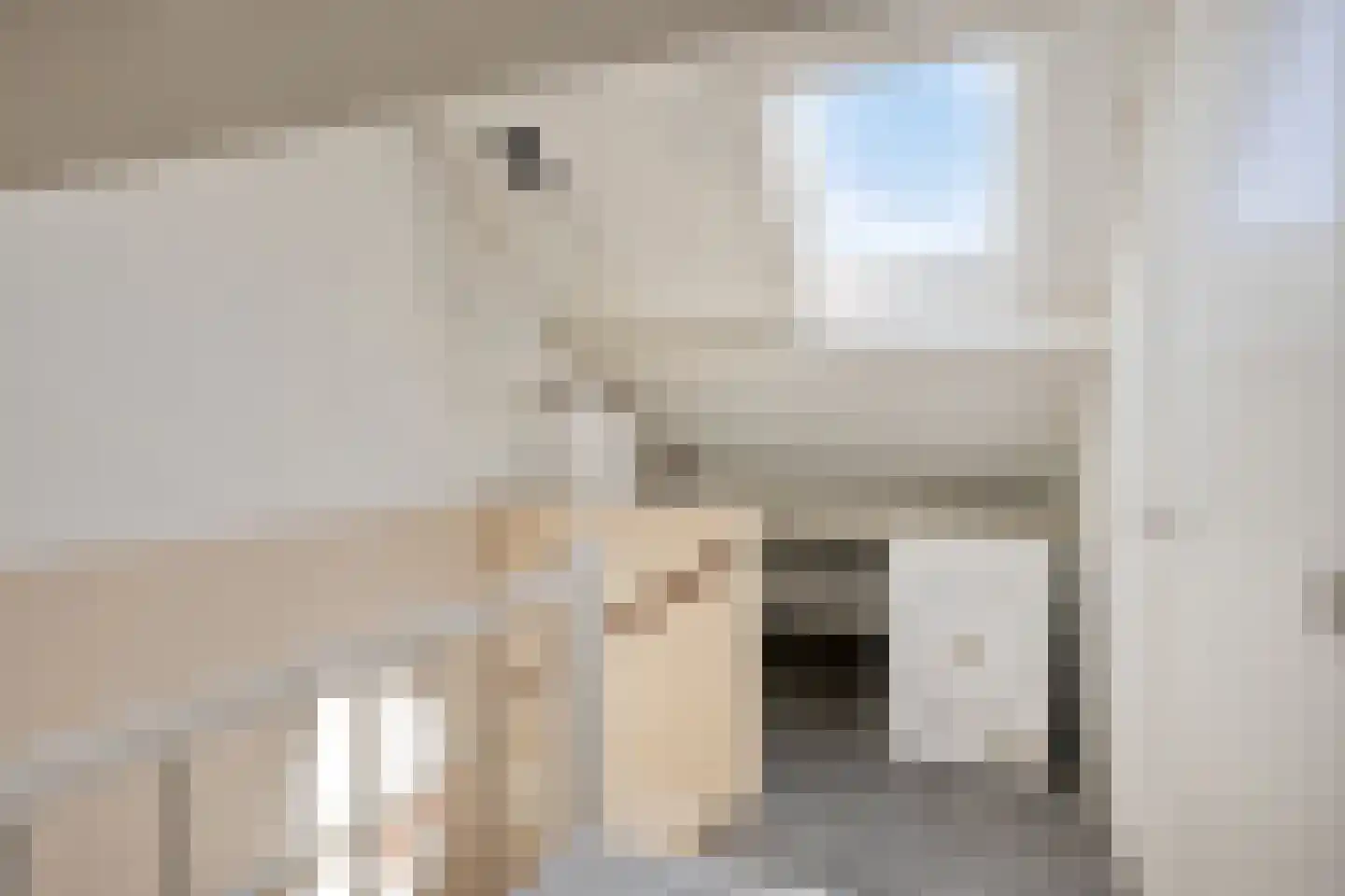 De Malthezer 4 Aarle-Rixtel thumbnail 27