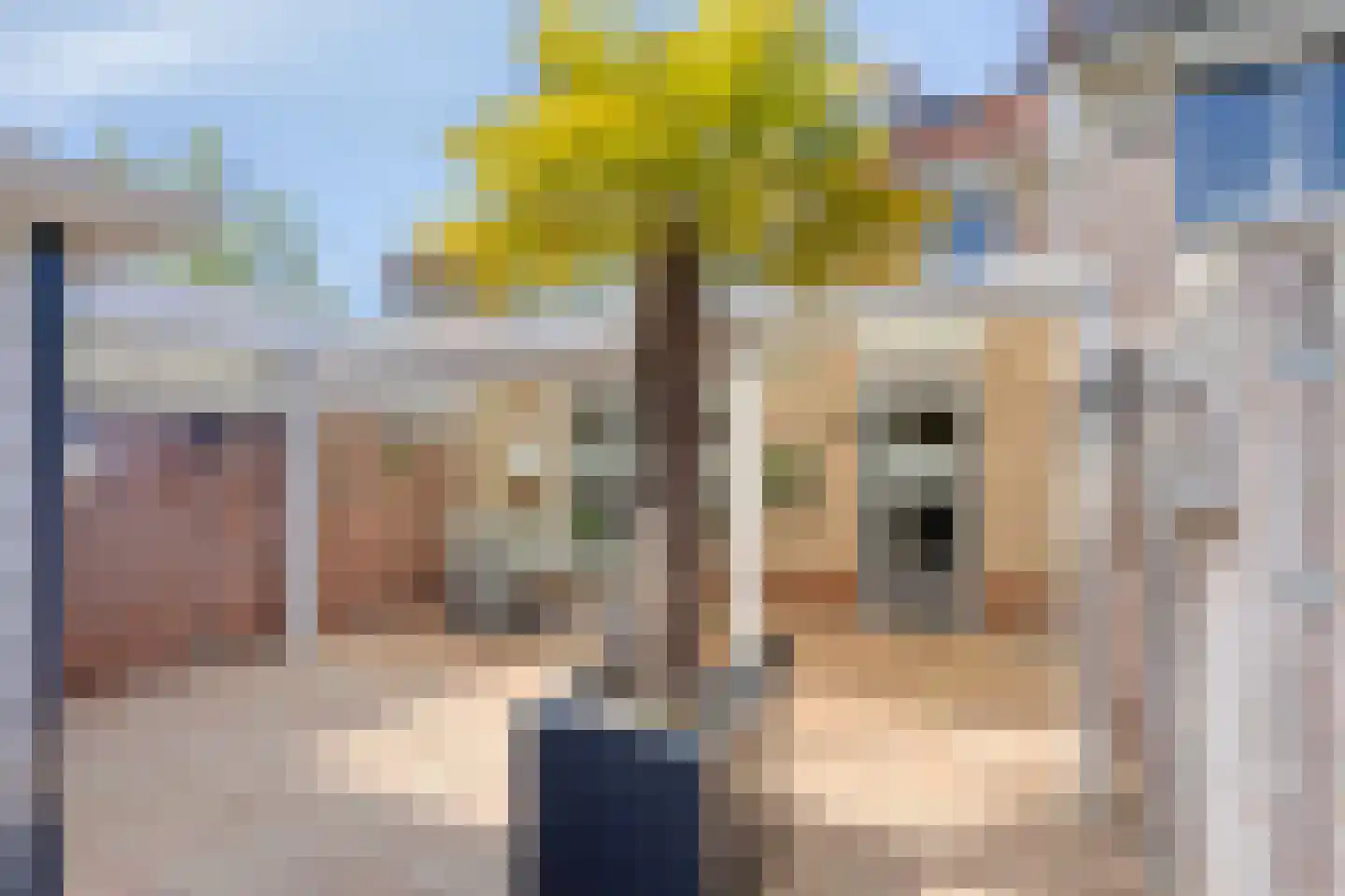 De Malthezer 4 Aarle-Rixtel thumbnail 33