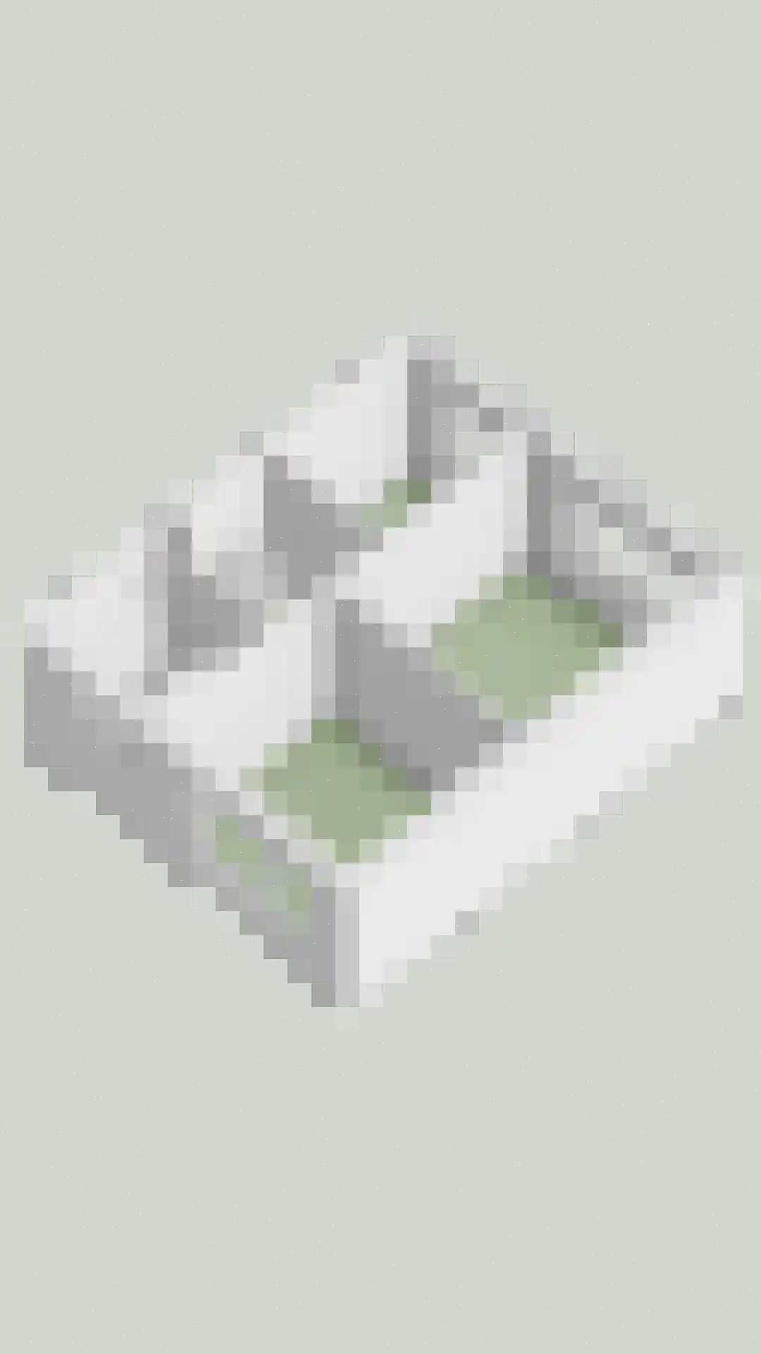De Malthezer 4 Aarle-Rixtel thumbnail 37