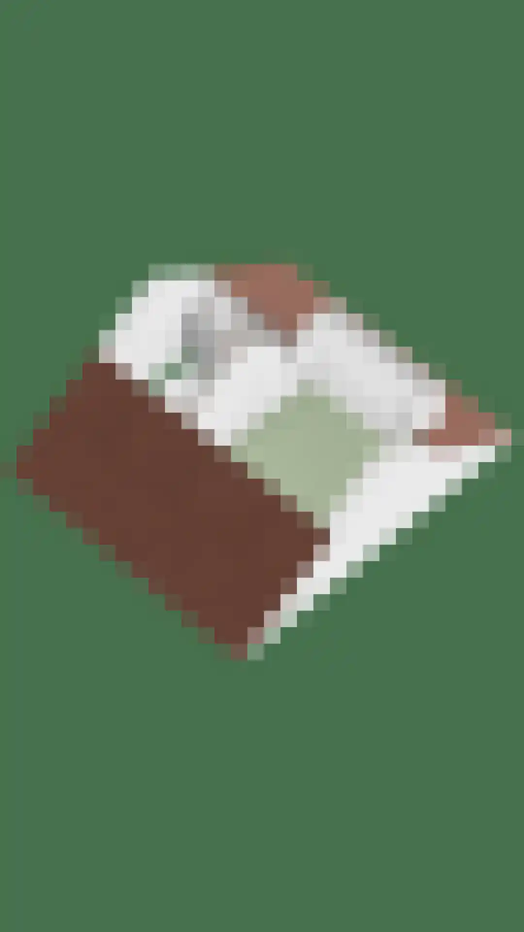 De Malthezer 4 Aarle-Rixtel thumbnail 39