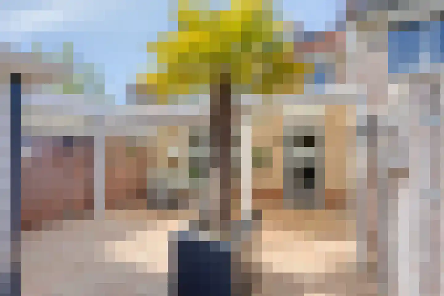 De Malthezer 4 Aarle-Rixtel thumbnail 4
