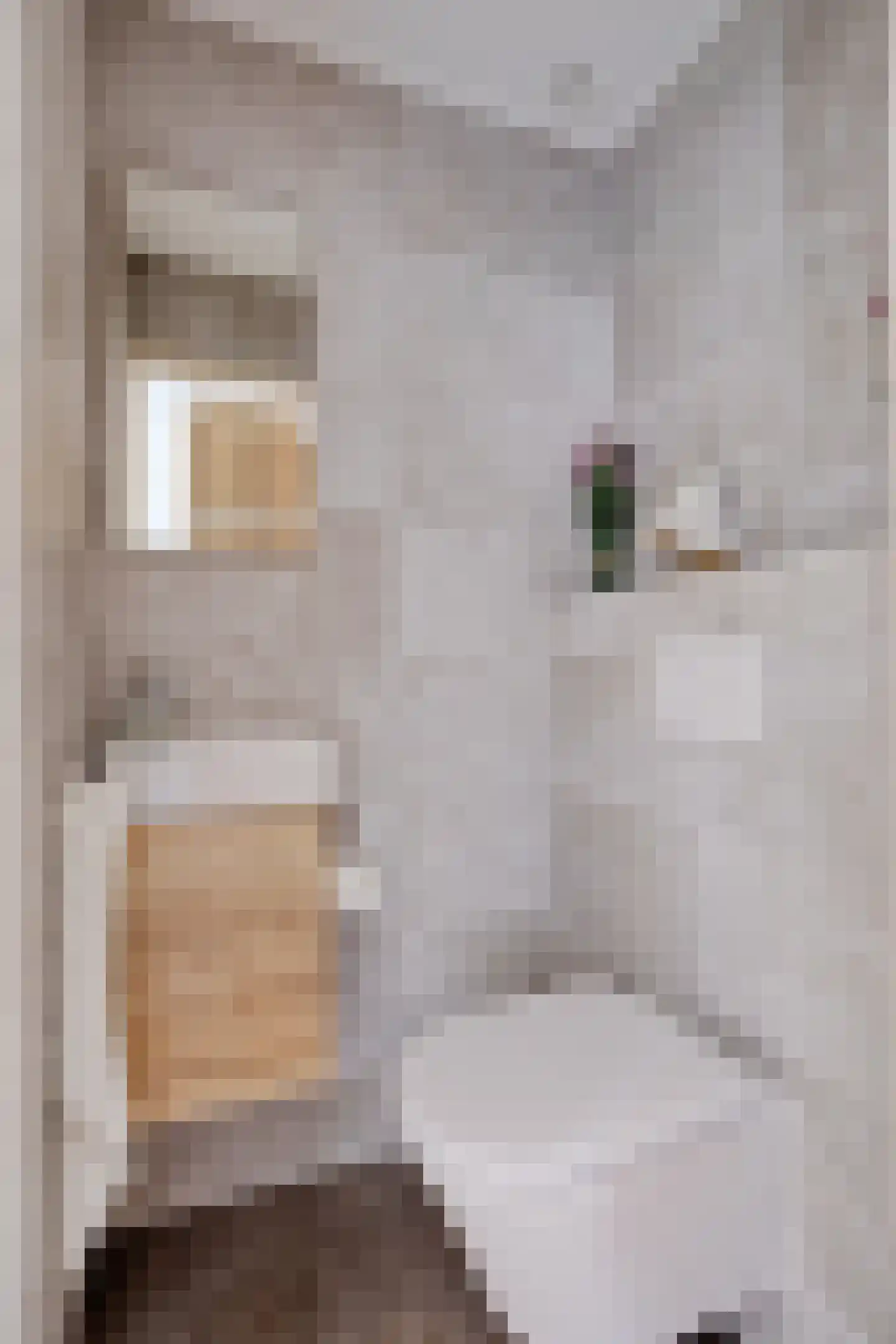 De Malthezer 4 Aarle-Rixtel thumbnail 8