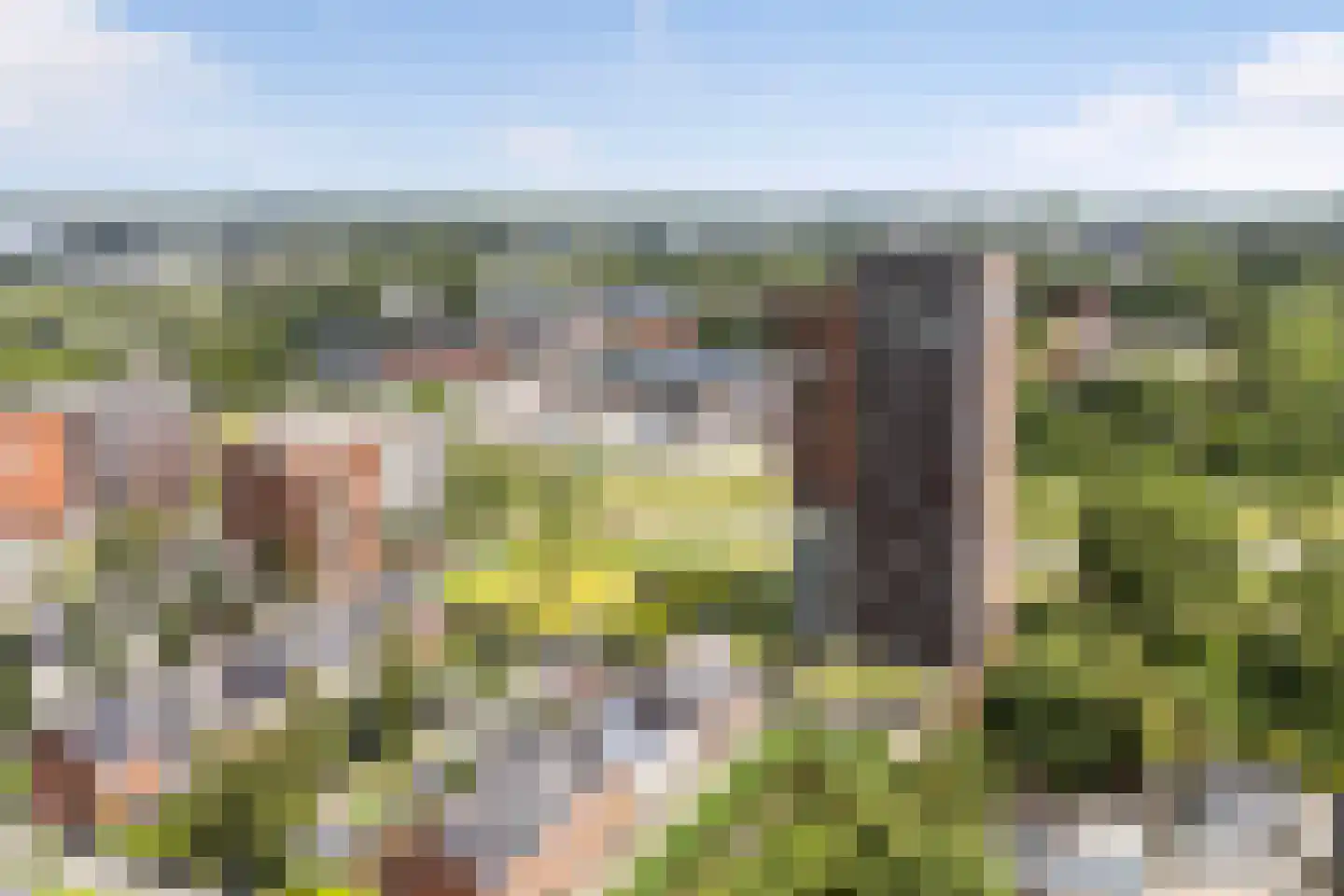 De Malus 143 Leeuwarden thumbnail 38