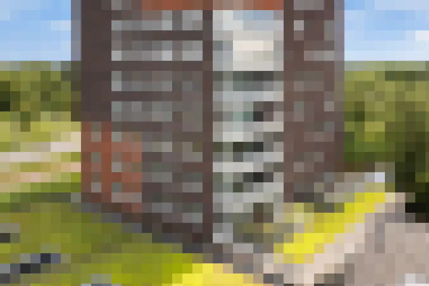 De Malus 143 Leeuwarden thumbnail 5