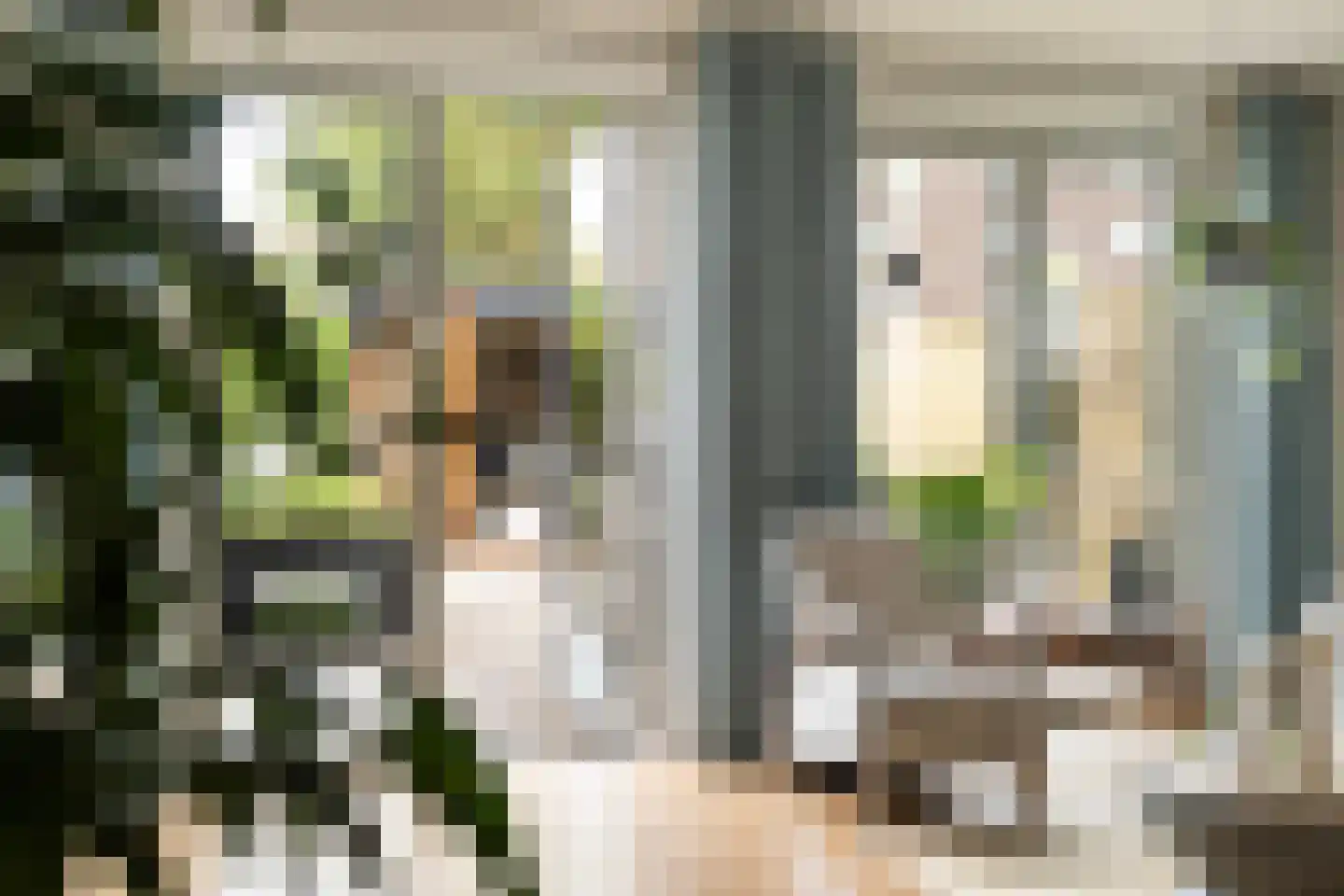 De Malus 2 Leeuwarden thumbnail 17