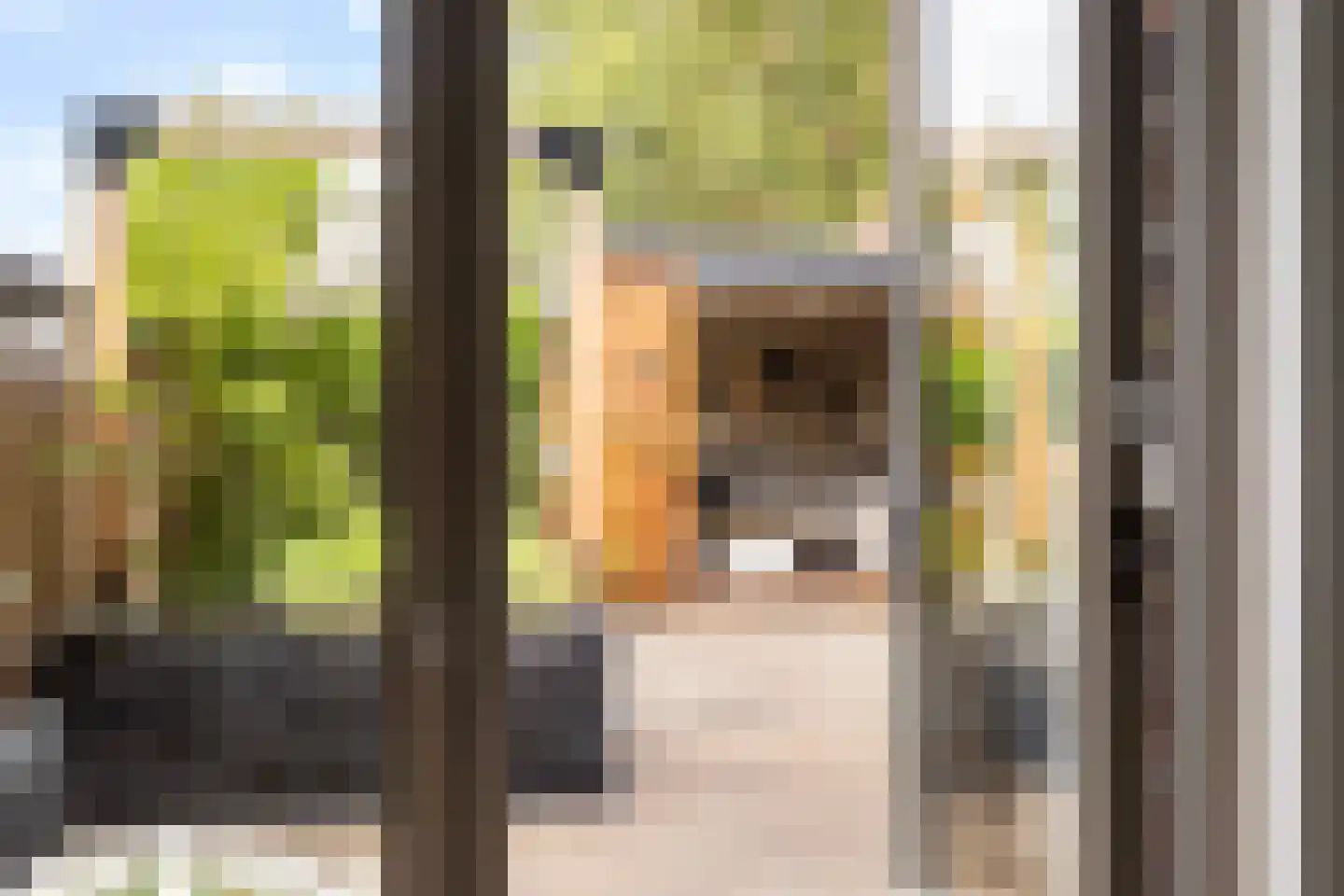 De Malus 2 Leeuwarden thumbnail 18