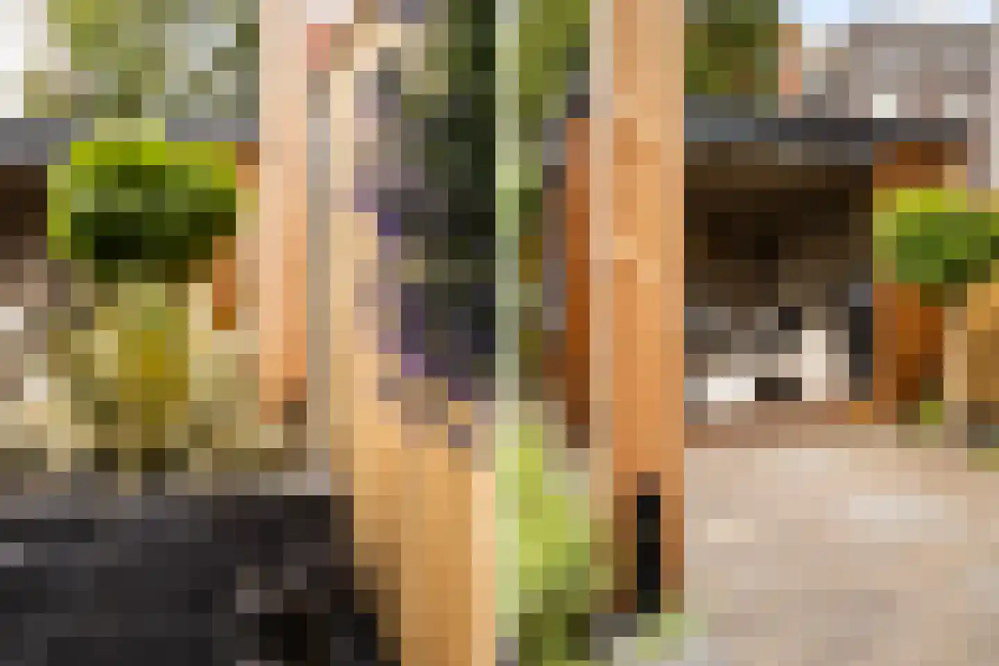De Malus 2 Leeuwarden thumbnail 19