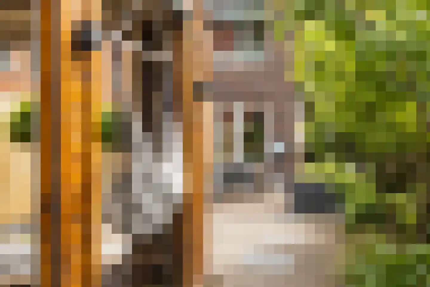 De Malus 2 Leeuwarden thumbnail 21