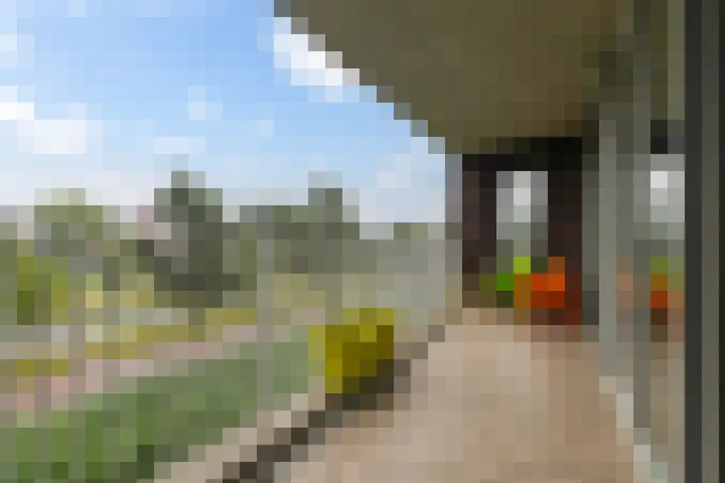 De Malus 23 Leeuwarden thumbnail 28