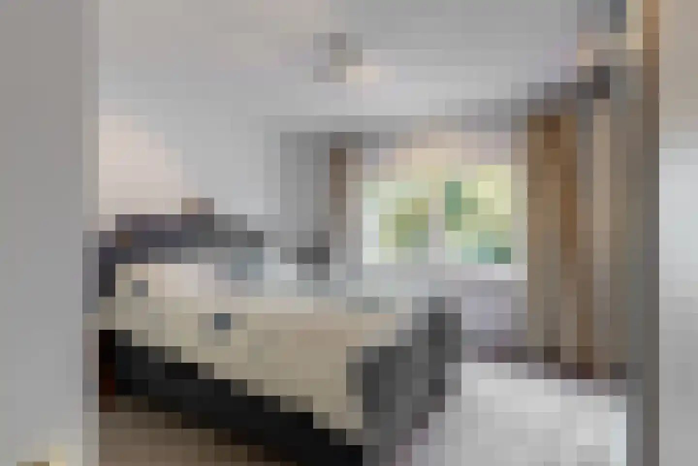 De Mamuchetweg 3 De Bilt thumbnail 19