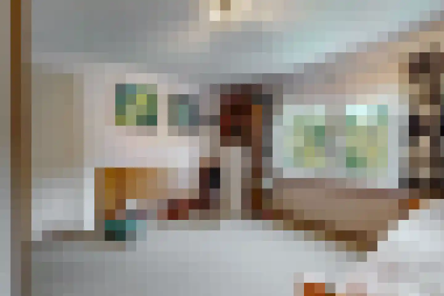 De Mamuchetweg 3 De Bilt thumbnail 21