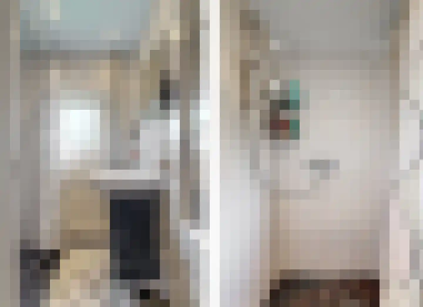 De Mamuchetweg 3 De Bilt thumbnail 26