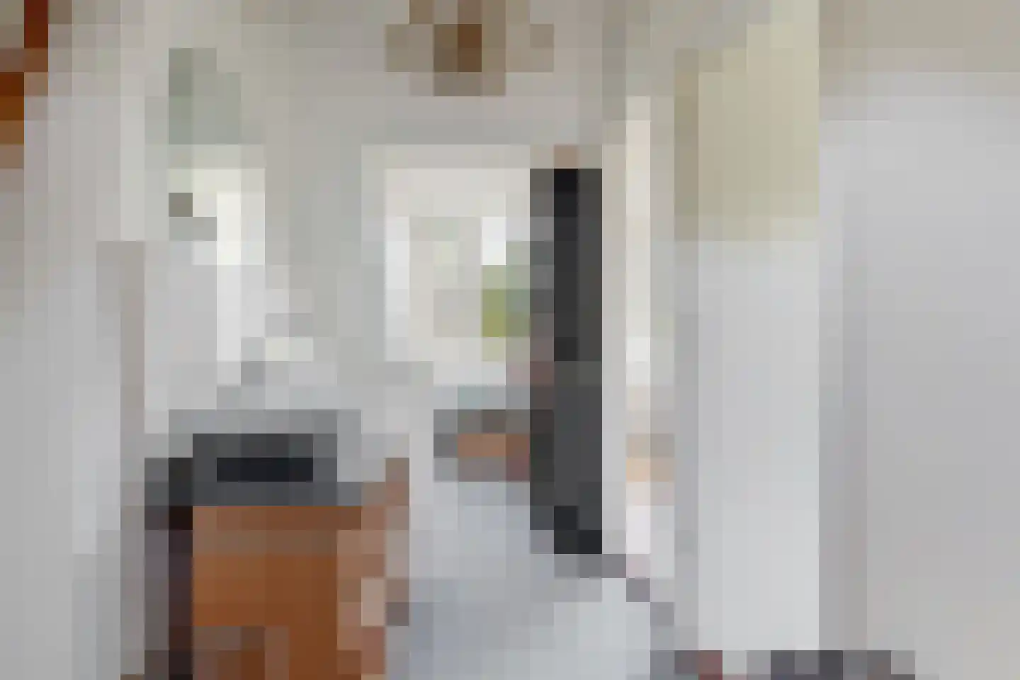 De Mamuchetweg 3 De Bilt thumbnail 27