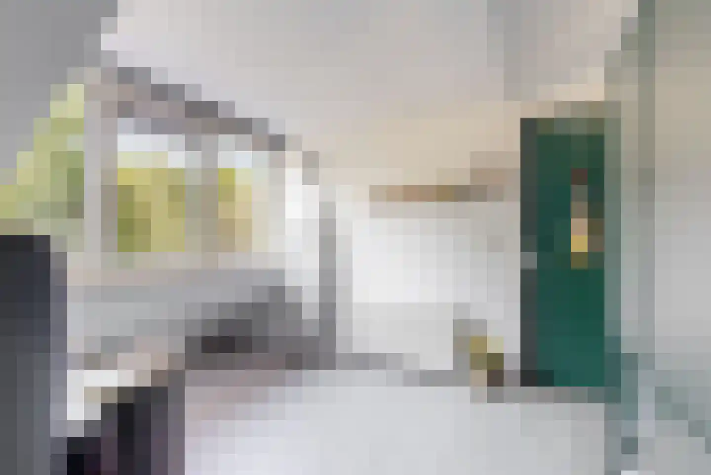 De Mamuchetweg 3 De Bilt thumbnail 28