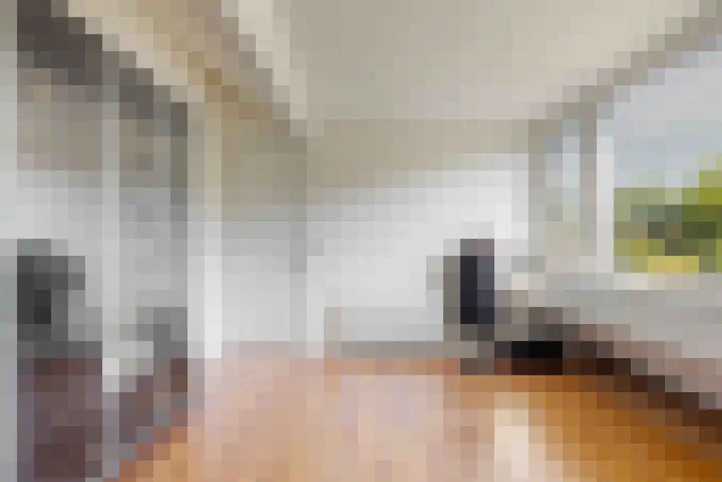 De Mamuchetweg 3 De Bilt thumbnail 31