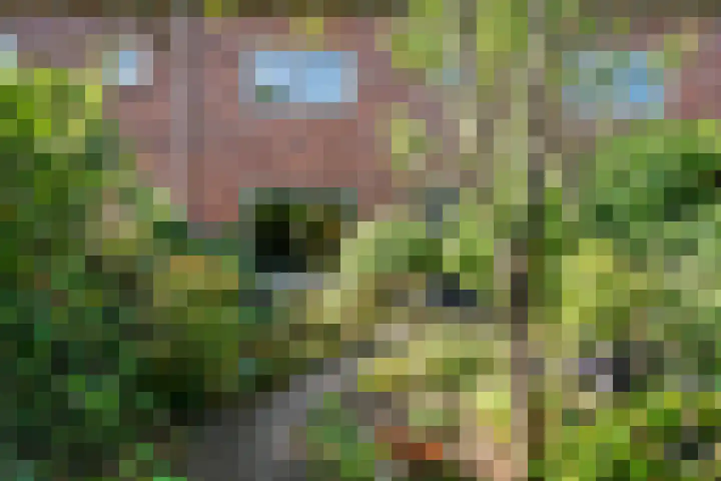De Mamuchetweg 3 De Bilt thumbnail 33