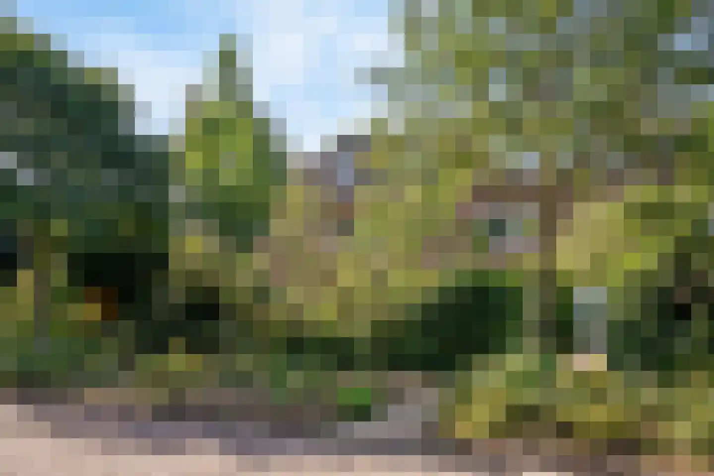 De Mamuchetweg 3 De Bilt thumbnail 35