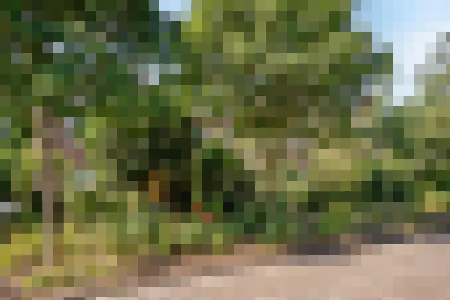 De Mamuchetweg 3 De Bilt thumbnail 36
