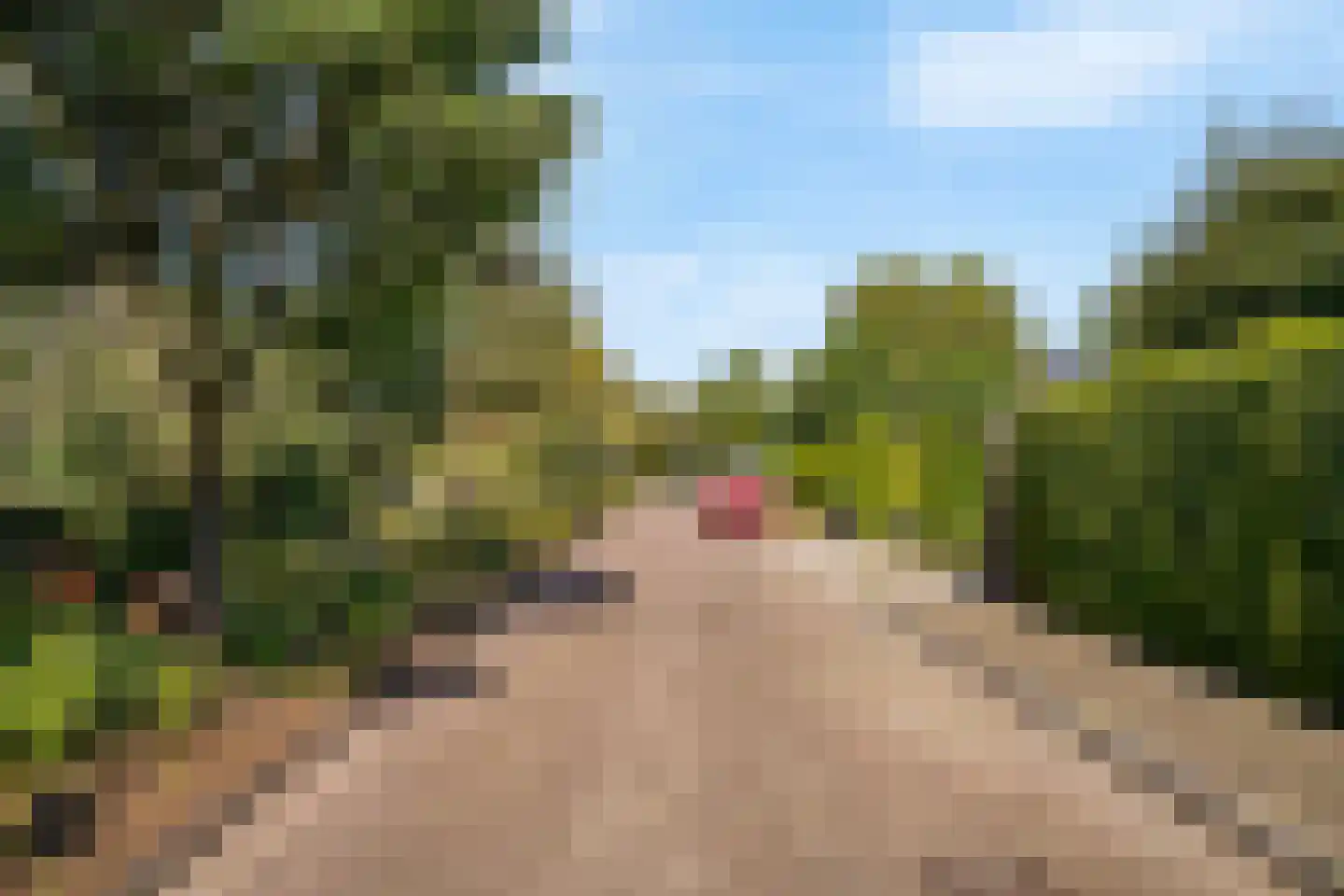 De Mamuchetweg 3 De Bilt thumbnail 38