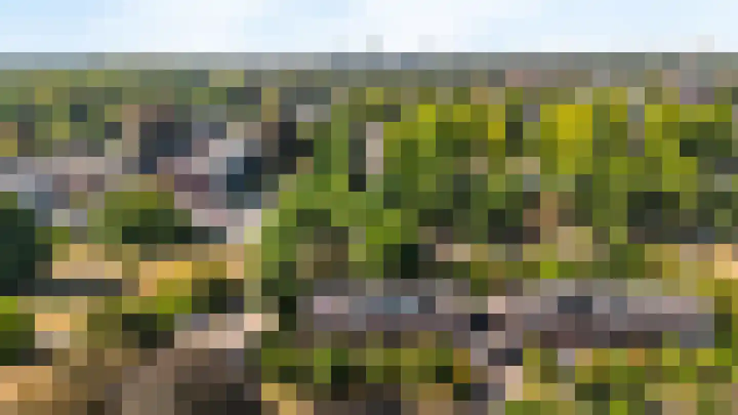 De Mamuchetweg 3 De Bilt thumbnail 39