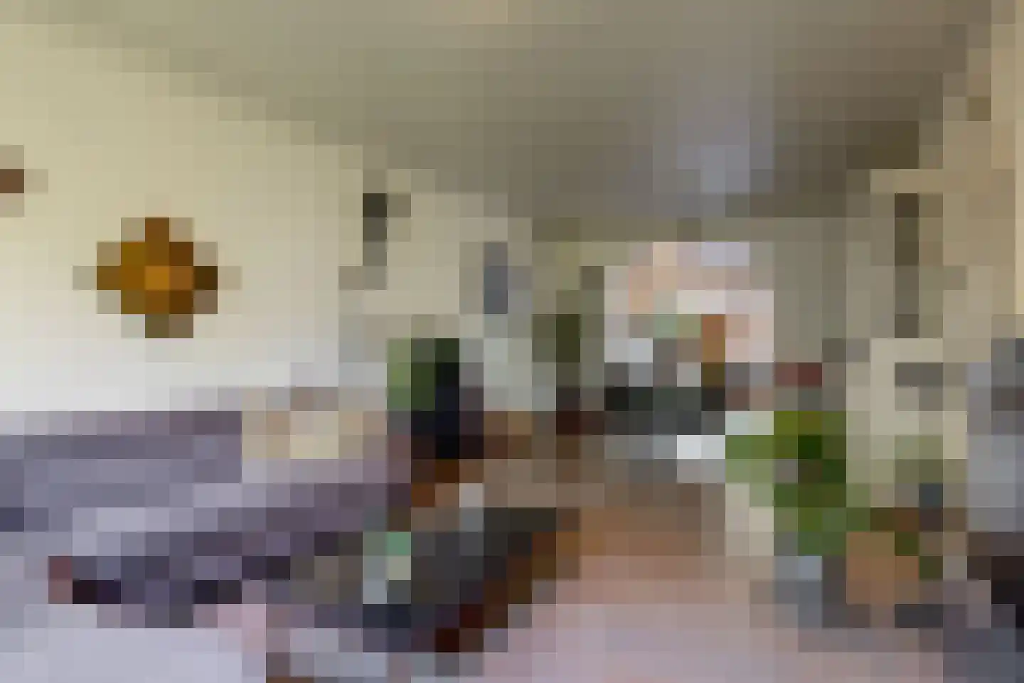 De Mamuchetweg 3 De Bilt thumbnail 7