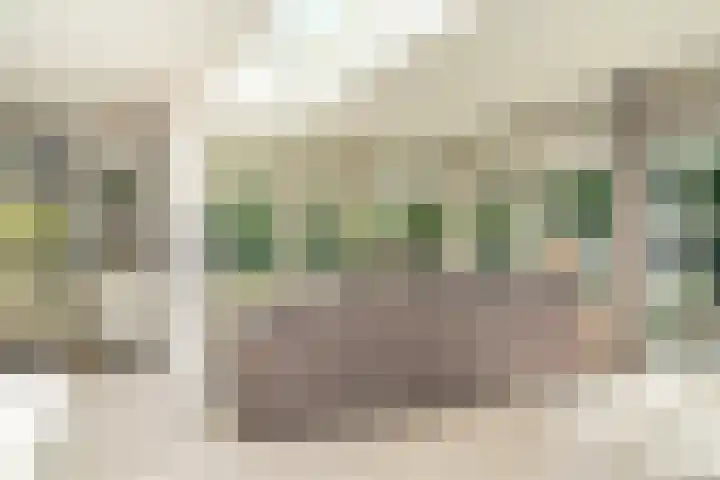 de Mandenmaker 1 Heeze thumbnail 10