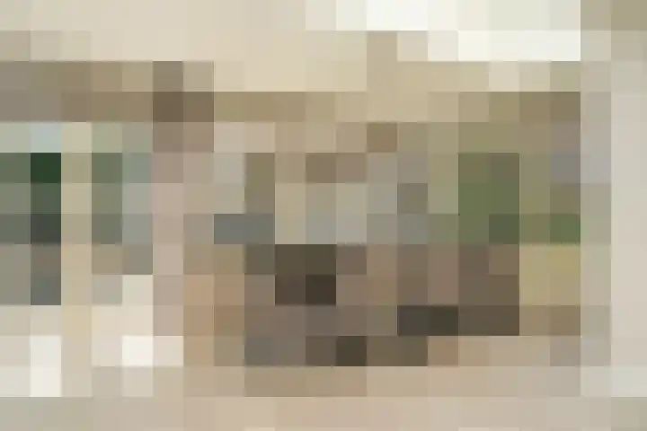 de Mandenmaker 1 Heeze thumbnail 13