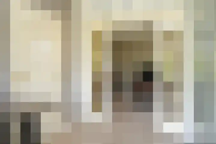de Mandenmaker 1 Heeze thumbnail 24