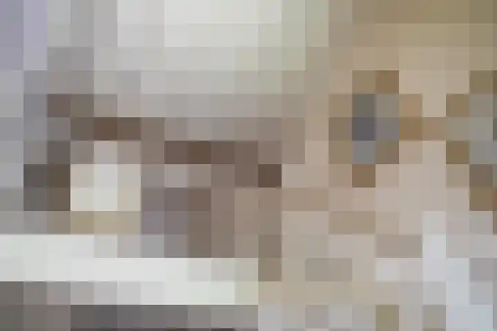 de Mandenmaker 1 Heeze thumbnail 27