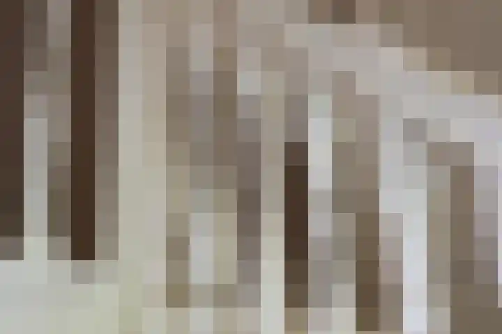 de Mandenmaker 1 Heeze thumbnail 28