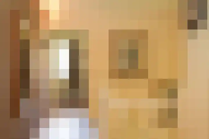 de Mandenmaker 1 Heeze thumbnail 29