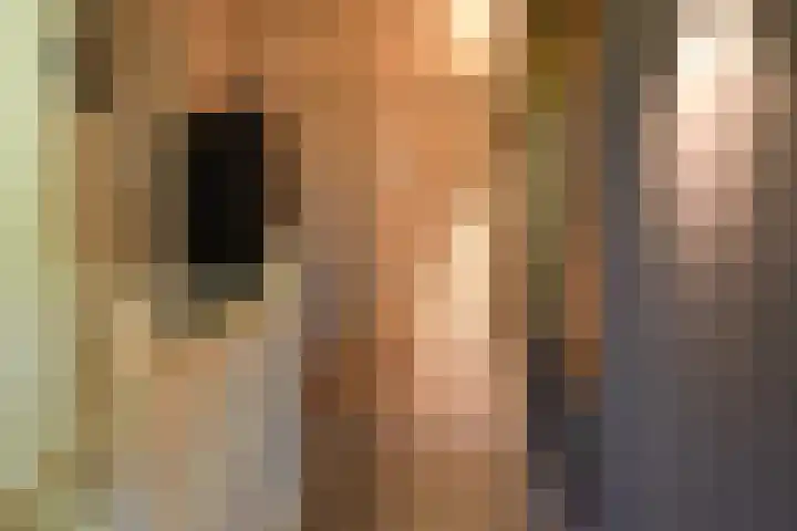 de Mandenmaker 1 Heeze thumbnail 35