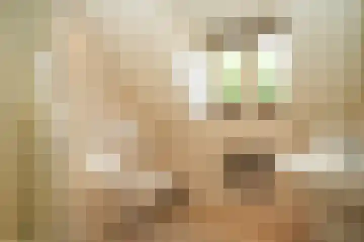 de Mandenmaker 1 Heeze thumbnail 36
