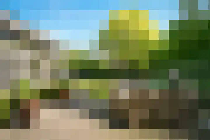 de Mandenmaker 1 Heeze thumbnail 45