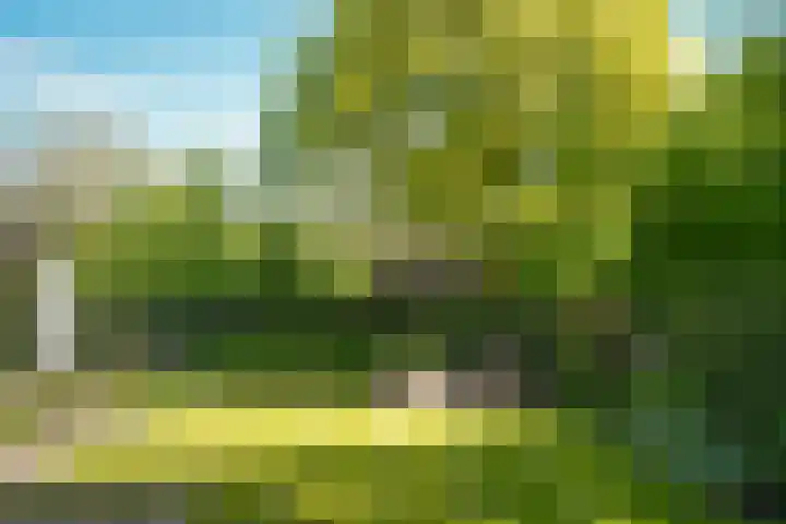 de Mandenmaker 1 Heeze thumbnail 46