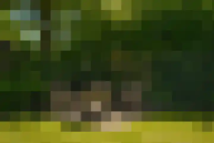 de Mandenmaker 1 Heeze thumbnail 47