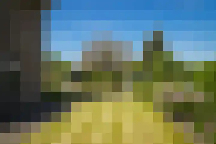 de Mandenmaker 1 Heeze thumbnail 49
