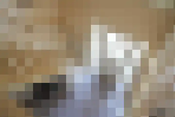 de Mandenmaker 1 Heeze thumbnail 5