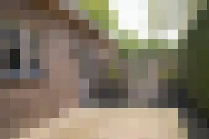 de Mandenmaker 1 Heeze thumbnail 51