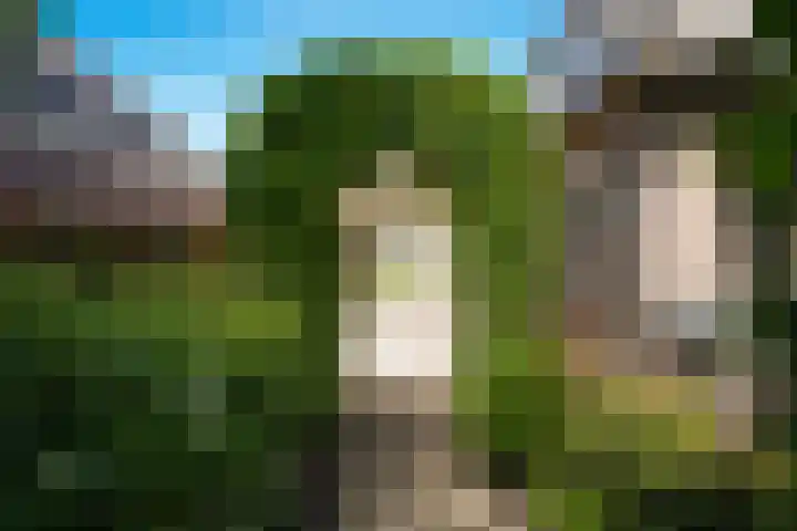 de Mandenmaker 1 Heeze thumbnail 52