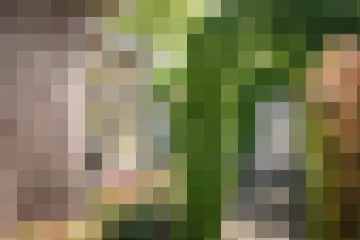 de Mandenmaker 1 Heeze thumbnail 53