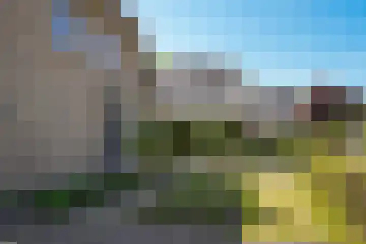 de Mandenmaker 1 Heeze thumbnail 55